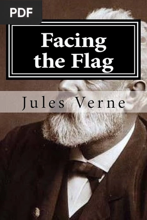 Cover of Facing the Flag