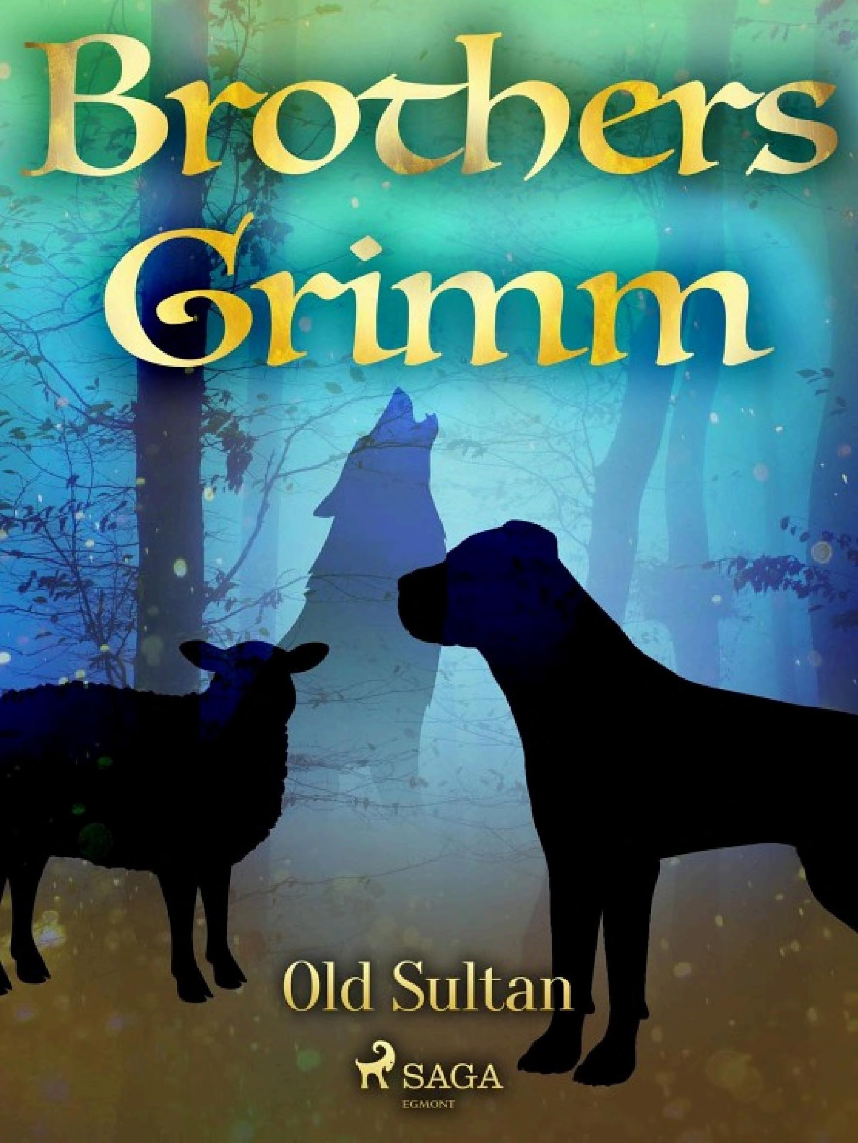 Cover of Old Sultan