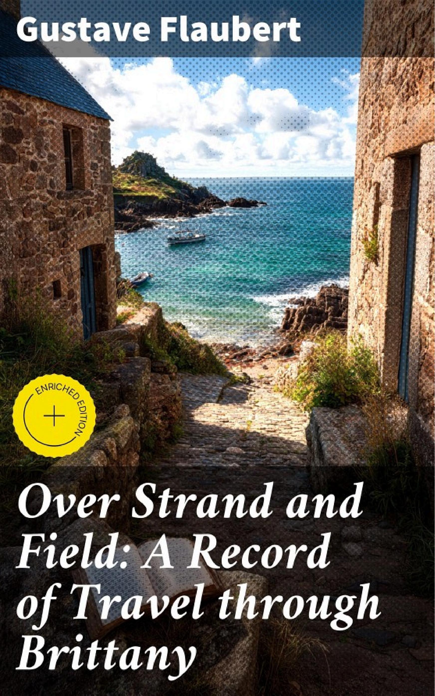 Cover of Over Strand and Field