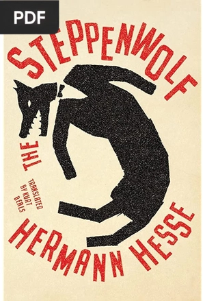 Cover of Steppenwolf