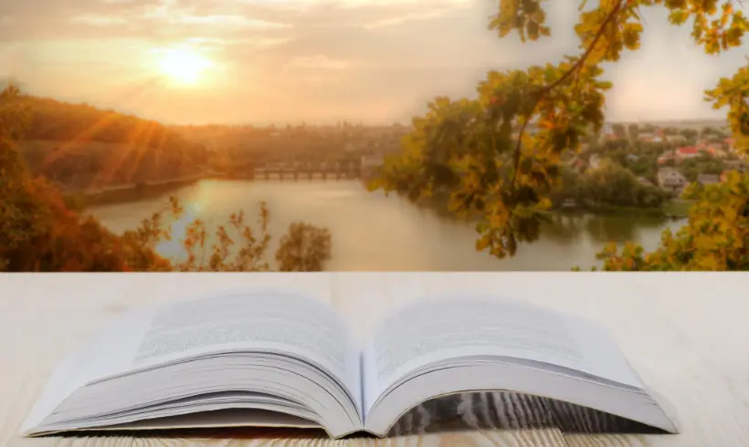 What is a Novel and What are its Types?