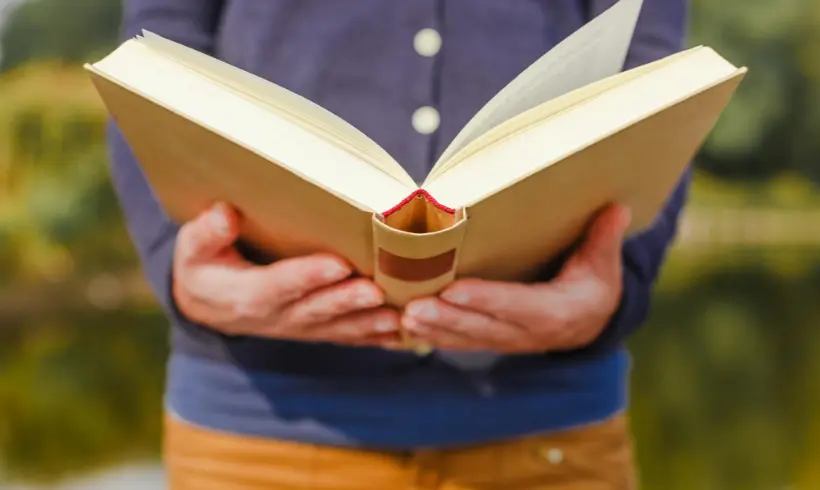 What is the Structure of the Literary Novel?