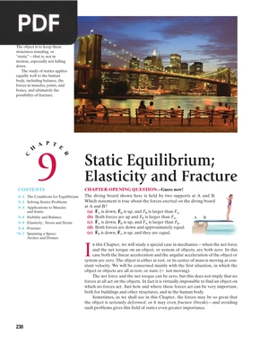 Static Equilibrium; Elasticity and Fracture