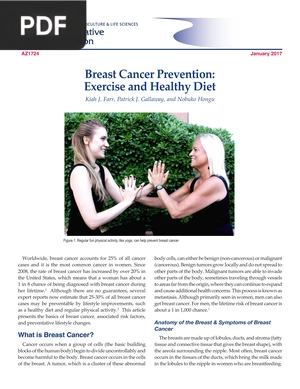Breast Cancer Prevention. Exercise and Healthy Diet (Article)