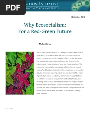 Why Ecosocialism: For a Red-Green Future
