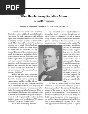 What Revolutionary Socialism Means (Article)