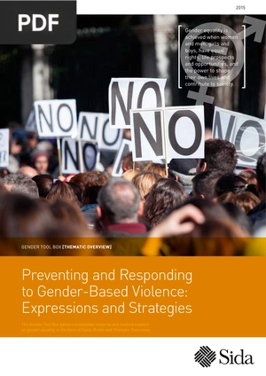 Preventing and Responding to Gender-Based Violence, Expressions and Strategies