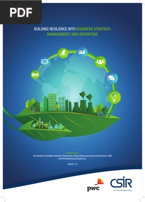 Building resilience into business strategy, management and reporting