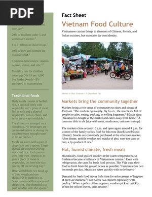 Vietnam Food Culture (Article)