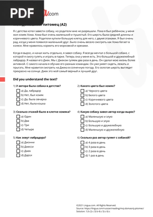 My dog, my best friend.