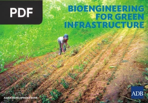 Bioengineering for green infrastructure (Presentation)