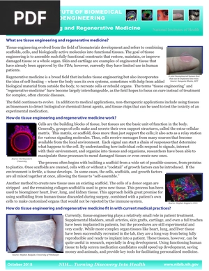 Tissue Engineering and Regenerative Medicine (Article)