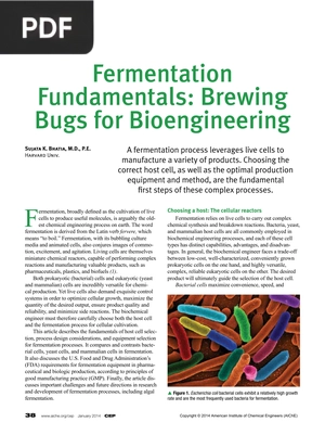 Fermentation Fundamentals: Brewing Bugs for Bioengineering
