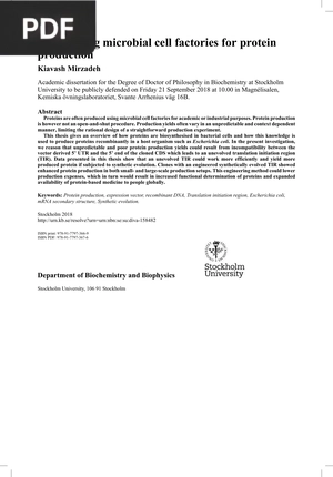 Engineering microbial cell factories for protein production