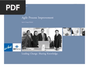 Agile Process Improvement - Sprint Change Method