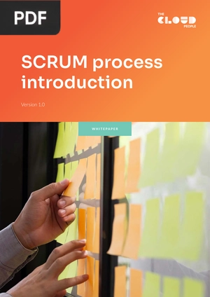 SCRUM process introduction (Article)
