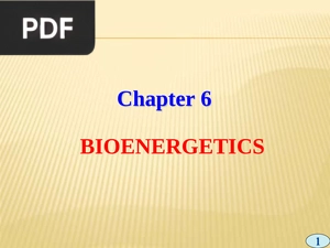 Chapter 6 Bioenergetics