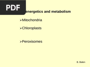 Bioenergetics and Metabolism (Presentation)
