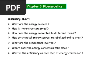 Chapter 3 Bioenergetics (Presentation)
