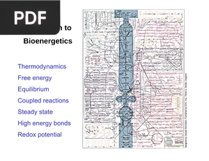 Introduction to Bioenergetics (Presentation)