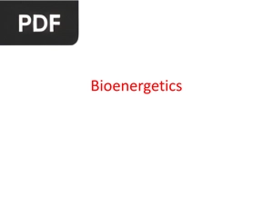 Bioenergetics (Presentation)