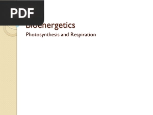 Bioenergetics - Photosynthesis and Respiration (Presentation)