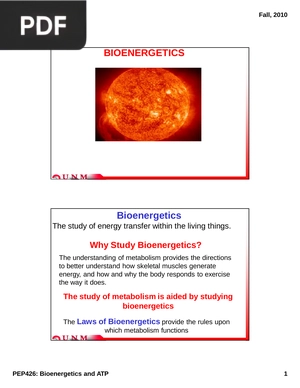 Bioenergetics (Article)