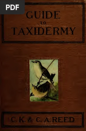 Guide to taxidermy