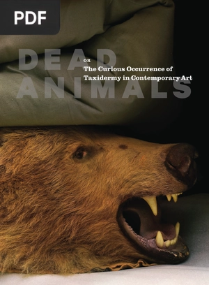 The Curious Occurrence of Taxidermy in Contemporary Art