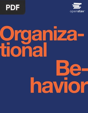 Organizational Behavior