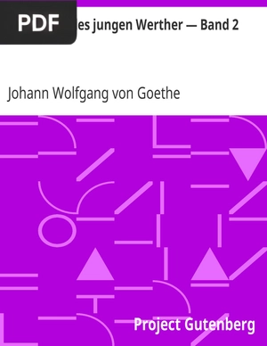 Die Leiden des jungen Werther - Band 2 (The Sorrows of Young Werther II)