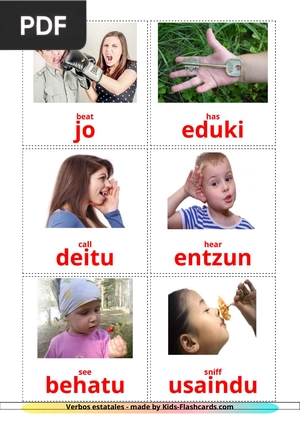 Mozioak edo egoerak - State Verbs Cards