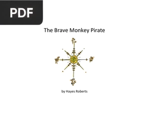 The Brave Monkey Pirate