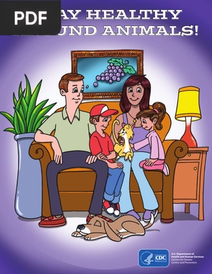 Stay Healthy Around Animals!