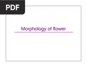 Morphology of flower