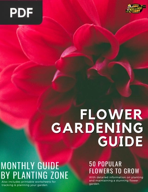 Flower Gardening Guide