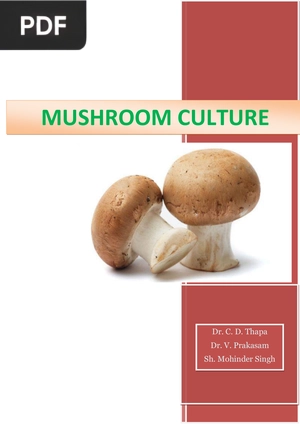 Mushroom Culture