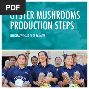 Oyster mushrooms production steps
