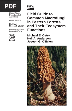 Field Guide to Common Macrofungi in Eastern Forests and Their Ecosystem Functions
