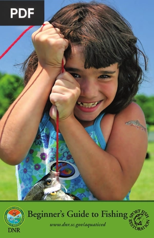 Beginner’s Guide to Fishing