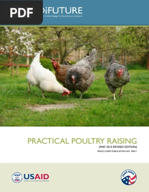 Practical Poultry Raising