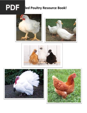 Compiled Poultry Resource Book