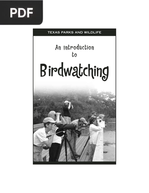 An Introduction to Bird Watching