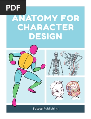 Anatomy for Character Design