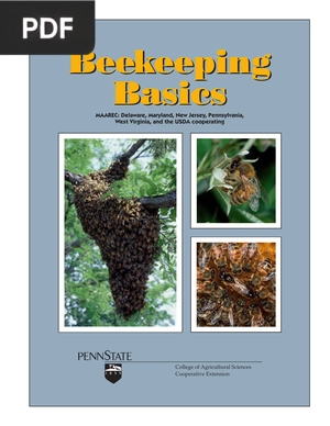 Beekeeping Basics
