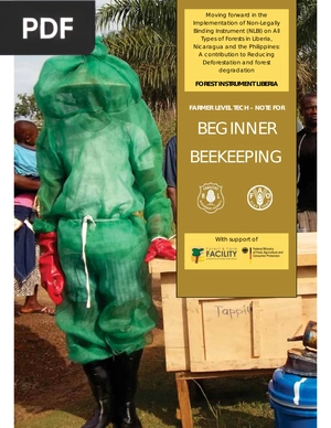 Beginner beekeeping