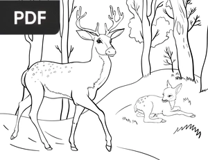 Deer coloring page