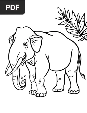 Elephant coloring page