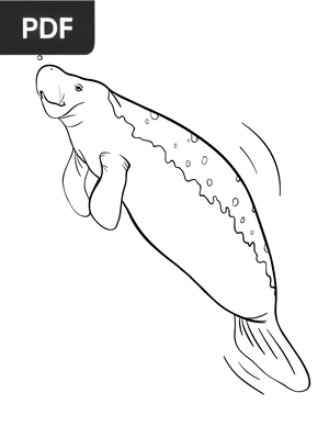 Manatee coloring page