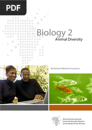 Biology 2 Animal Diversity
